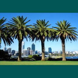 Perth Nature Tours